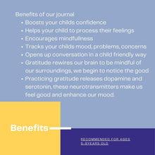 Load image into Gallery viewer, Children's Gratitude &amp; Feelings Journal – Irish-Made
